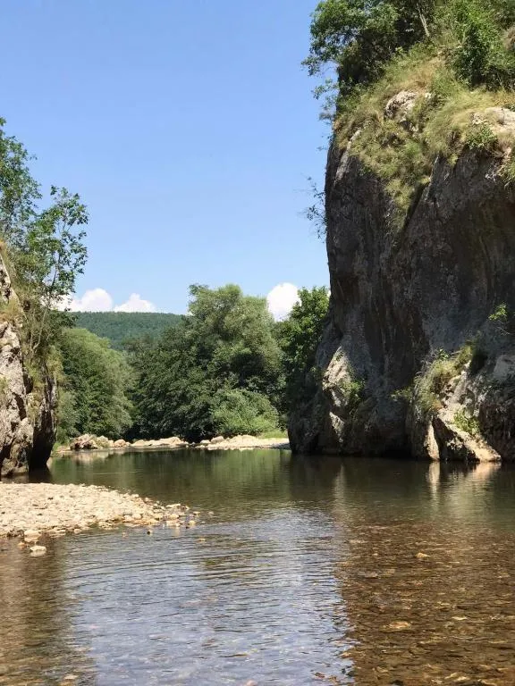 Slika 15
