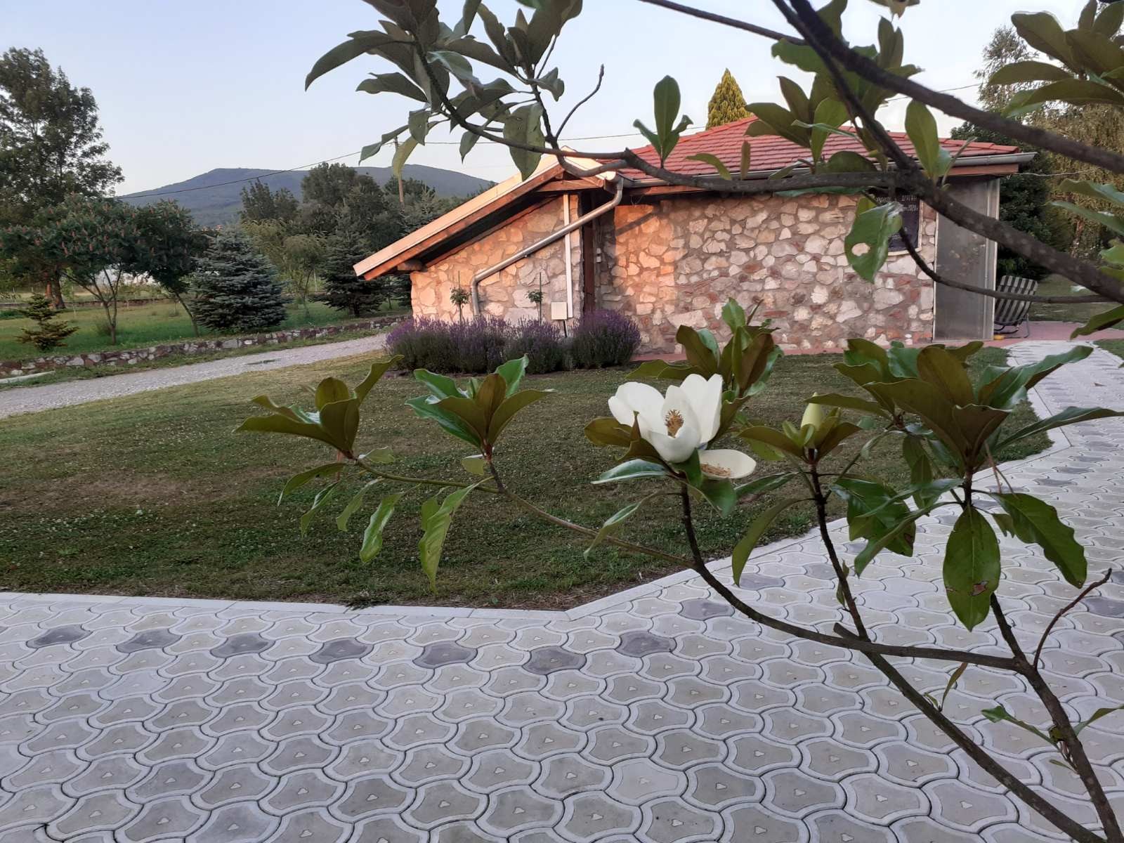 Slika 20